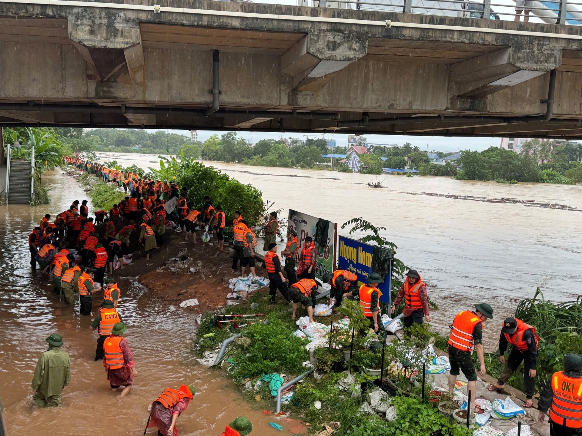 a207.ca-thai-nguyen.jpg