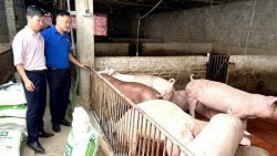 Thúc đẩy công nghệ xử lý chất thải chăn nuôi, hướng tới nông nghiệp