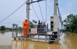 Công nhân Điện lực Thái Nguyên căng mình khắc phục thiệt hại lũ lụt