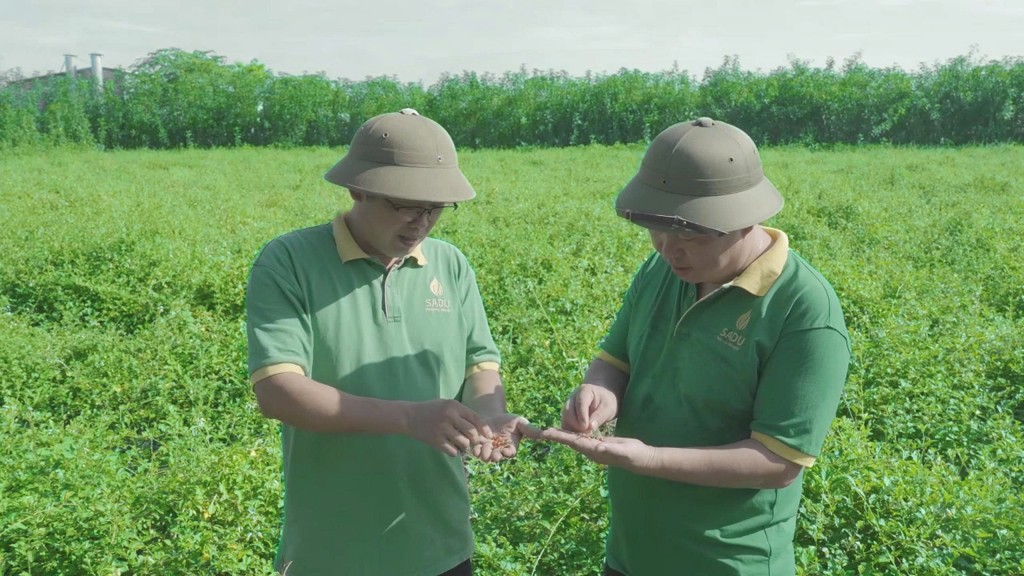 Lãnh đạo Công ty Công ty cổ phần Nông nghiệp công nghệ cao Thăng Long kiểm tra vườn thảo dược