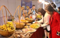 Lễ hội Ẩm thực Quảng Ninh 2025 - Hội tụ tinh hoa hương vị