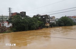 Cảnh báo lũ trên sông Cầu, sông Thương có khả năng đạt đỉnh