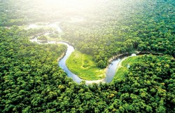 "Vũ khí sinh thái” giảm phát thải mê-tan và khí nhà kính toàn cầu