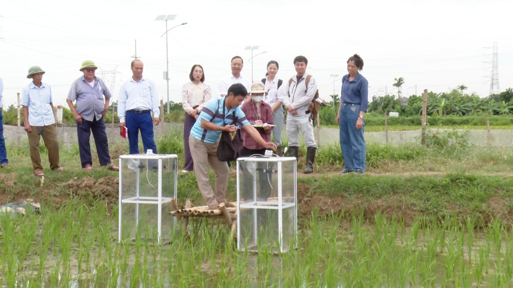 Lãnh đạo xã Ứng Hòa, Công ty TNHH Faeger Việt Nam, Chi cục Trồng trọt và Bảo vệ thực vật Hà Nội, Trạm Dịch vụ nông nghiệp kiểm tra thực tế quá trình lấy mẫu khí. Ảnh: Phùng Lương Đưa vào thí điểm mô hình trồng lúa giảm phát thải khí mê-tan
