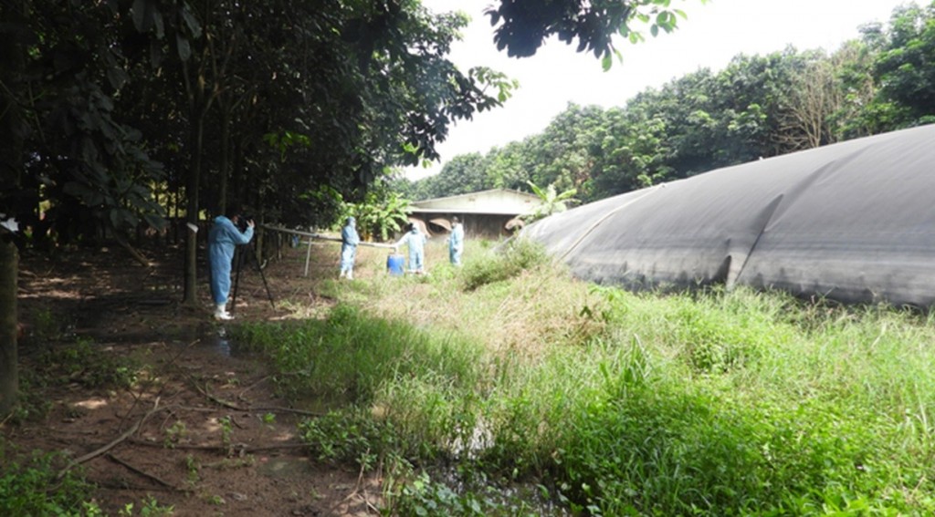 Biogas cho ngành chăn nuôi giúp giảm phát thải khí mê – tan. Biogas cho ngành chăn nuôi giúp giảm phát thải khí mê – tan.