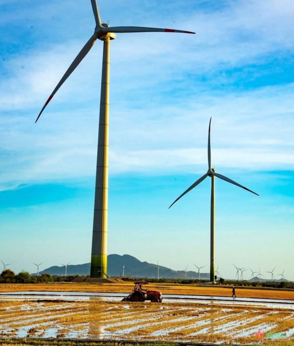 Phát triển năng lượng tái tạo: Những “cú hích” từ chính sách