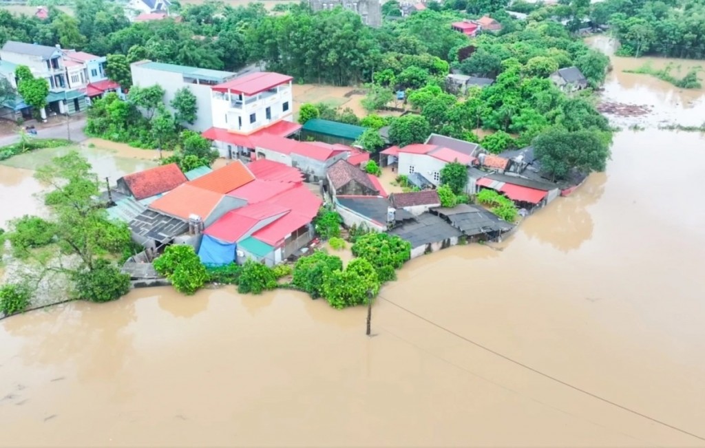 Ảnh minh họa Ảnh minh họa