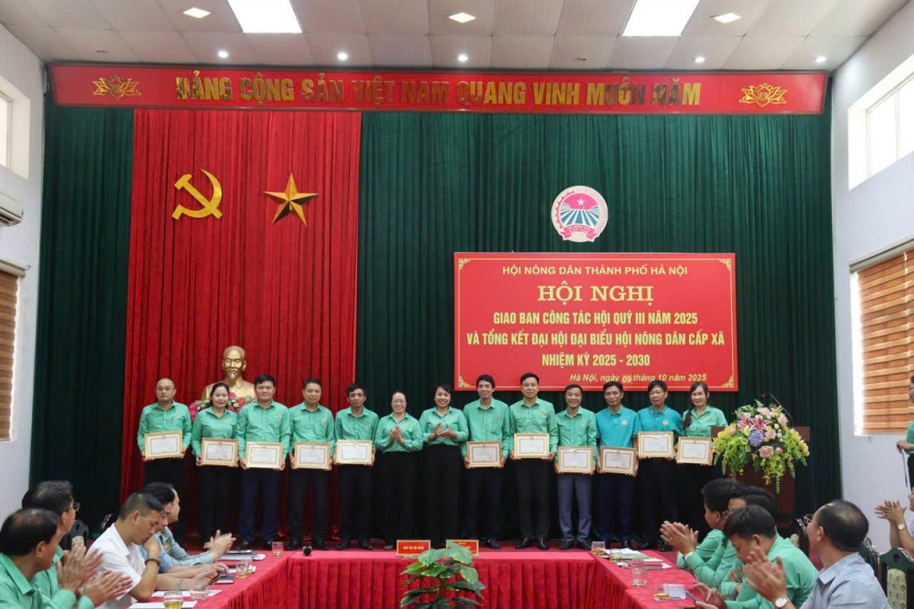 Kịp thời hỗ trợ nông dân khắc phục hậu quả, khôi phục sản xuất sau mưa, bão