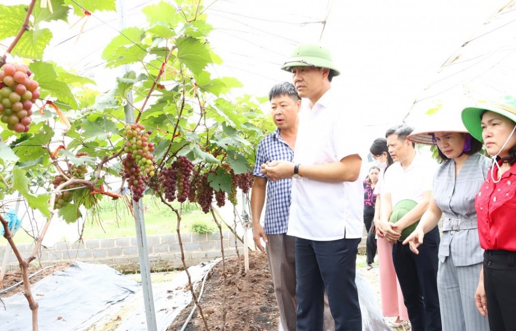 Hà Nội thúc đẩy chuyển đổi số trong sản xuất nông nghiệp Hà Nội thúc đẩy chuyển đổi số trong sản xuất nông nghiệp