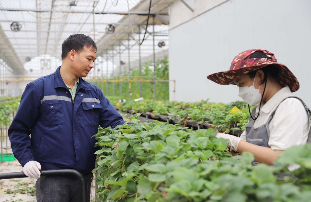 Hà Nội thúc đẩy chuyển đổi số trong sản xuất nông nghiệp Hà Nội thúc đẩy chuyển đổi số trong sản xuất nông nghiệp