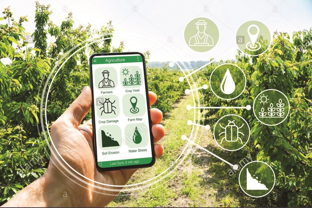 Hà Nội thúc đẩy chuyển đổi số trong sản xuất nông nghiệp Hà Nội thúc đẩy chuyển đổi số trong sản xuất nông nghiệp