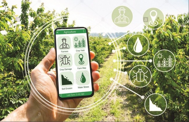 Hà Nội thúc đẩy chuyển đổi số trong sản xuất nông nghiệp