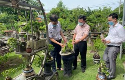 Biến nông thôn Hà Nội thành điểm đến hấp dẫn