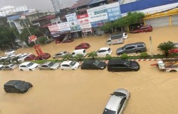 Bảo hiểm Bảo Việt khẩn trương ứng trực 24/7, bảo vệ khách hàng và hỗ trợ đồng bào vùng thiên tai