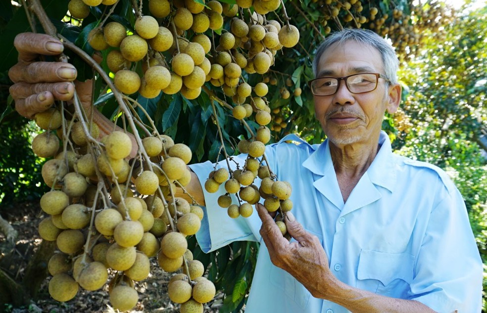 Nông dân Đồng Tháp biến rác hữu cơ thành tài nguyên