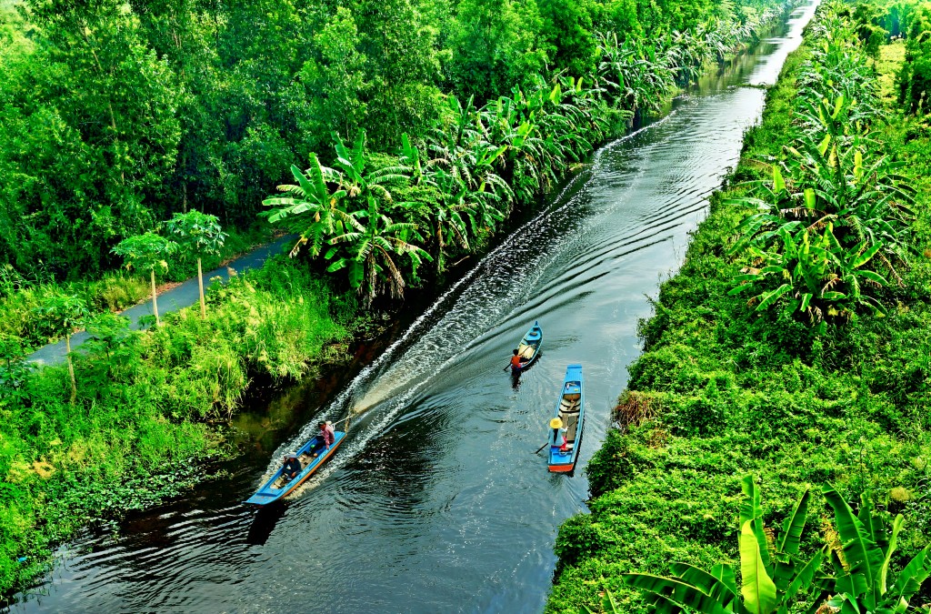 Du khách tham quan rừng tràm U Minh Hạ, trải nghiệm thiên nhiên và sinh thái độc đáo của Cà Mau