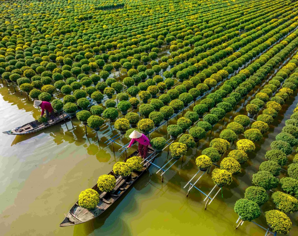 Nét đẹp của làng hoa Sa Đéc, Đồng Tháp