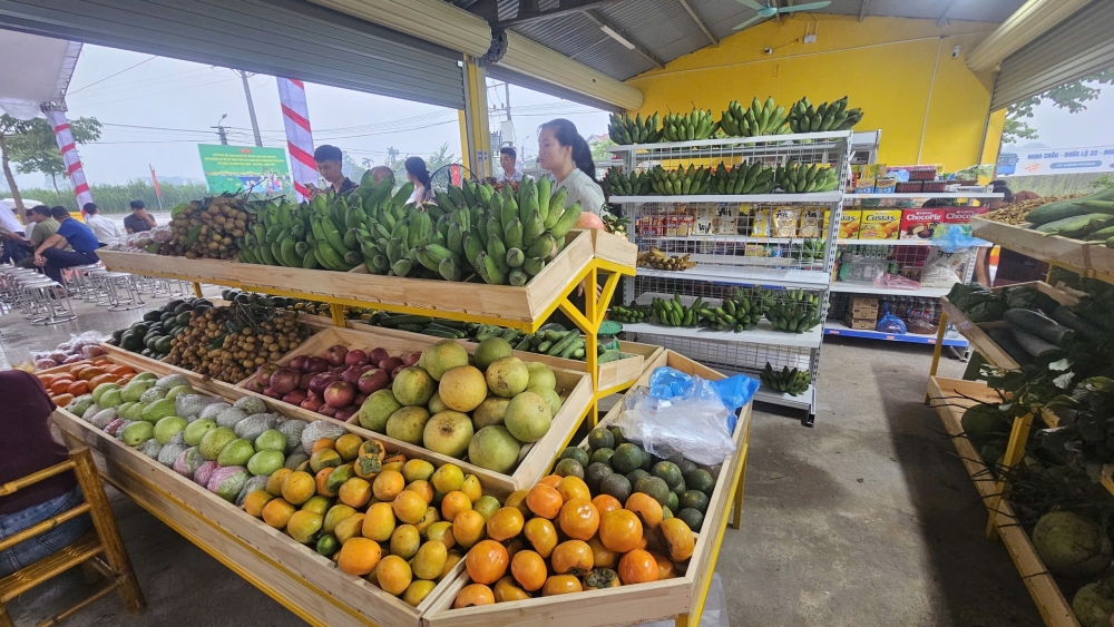 Điểm cuối hành trình xe buýt đến Minh Châu là không gian văn hóa, ẩm thực đầy sắc màu. Điểm cuối hành trình xe buýt đến Minh Châu là không gian văn hóa, ẩm thực đầy sắc màu.