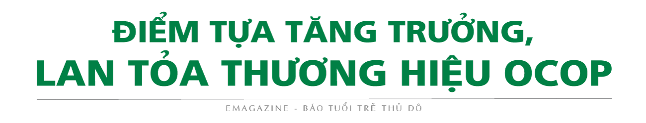 Hà Nội về đích Nông thôn mới thần tốc nhờ Chương trình 04-CTr/TU