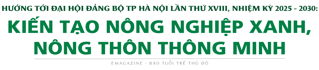 Hà Nội về đích Nông thôn mới thần tốc nhờ Chương trình 04-CTr/TU