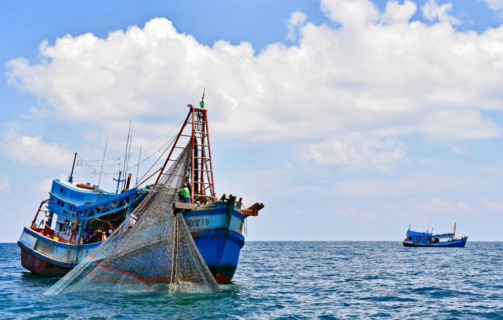 Ảnh minh họa Ảnh minh họa