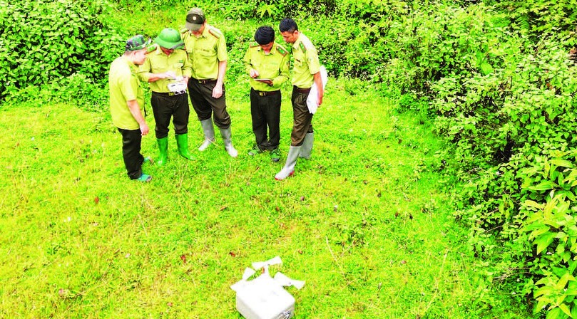 Hiệu quả từ những mô hình thực tiễn trong quản lý, bảo vệ rừng