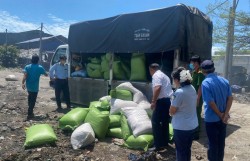 Tây Ninh: Tăng cường kiểm tra kinh doanh vật tư nông nghiệp