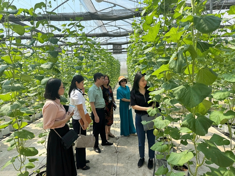 Bữa ăn bán trú an toàn từ nguồn đến bàn ở Tây Hồ Bữa ăn bán trú an toàn từ nguồn đến bàn ở Tây Hồ