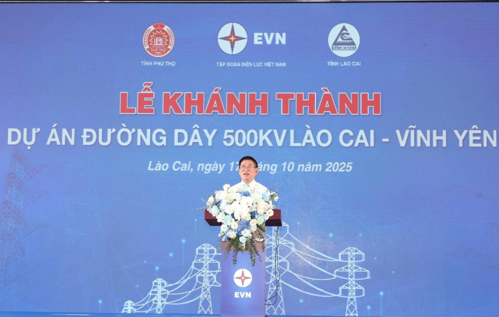 Phó Thủ tướng biểu dương tinh thần và quyết tâm của EVN, Ban Quản lý dự án điện 1, các nhà thầu tư vấn, thi công xây lắp, cung cấp vật tư thiết bị, các đơn vị liên quan, lực lượng công an, quân đội tại chỗ, Quân khu 2, dân quân tự vệ và các đoàn viên đã tham gia hỗ trợ ngành điện - Ảnh: VGP