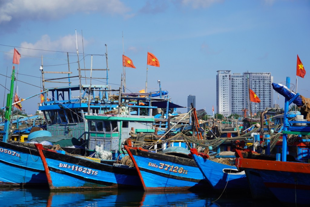 Tàu cá neo đậu tại Âu thuyền Thọ Quang, TP Đà Nẵng (Ảnh Đ.Minh)