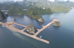 Quảng Ninh tái khởi động dự án Khu đô thị 10B Quang Hanh