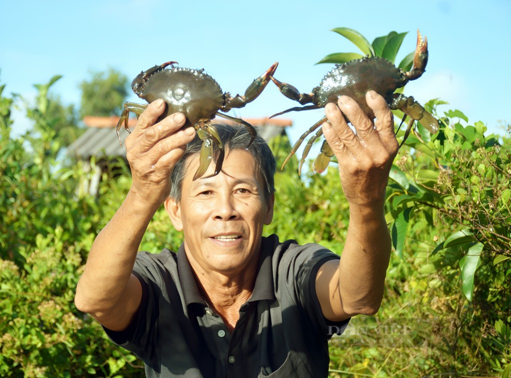 Cua Cà Mau nổi tiếng khắp cả nước bởi thịt ngọt, chắc, gạch béo và hàm lượng dinh dưỡng cao.