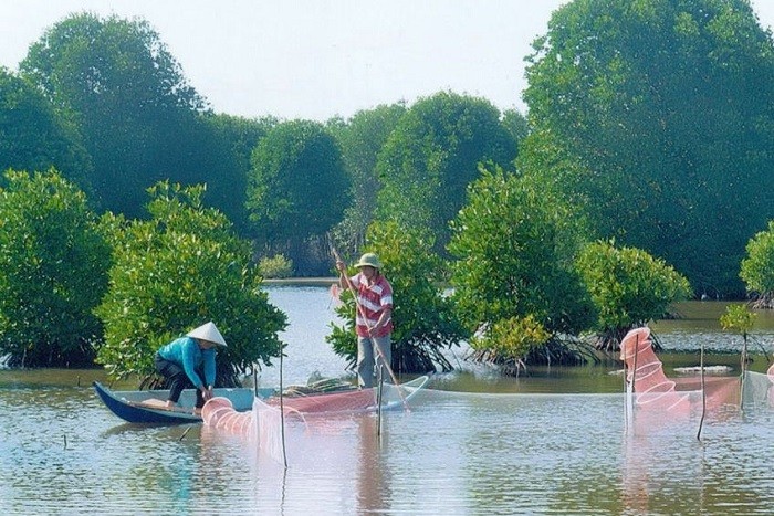 Mô hình nuôi tôm – cua kết hợp rừng ngập mặn tại Cà Mau, hướng đến sản xuất xanh, bảo vệ môi trường và nâng cao giá trị xuất khẩu.