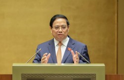 Tạo đà và khí thế bước vào kỷ nguyên mới, phát triển bền vững