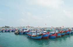 Kiên quyết xử lý triệt để với các hành vi vi phạm quy định về IUU