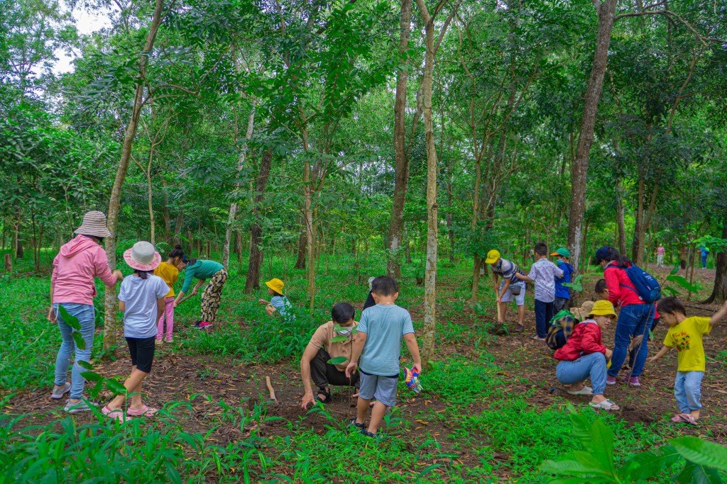 Tăng cường giáo dục cho thế hệ trẻ những lợi ích của rừng với sự sống (Ảnh minh họa) Tăng cường giáo dục cho thế hệ trẻ những lợi ích của rừng với sự sống (Ảnh minh họa)
