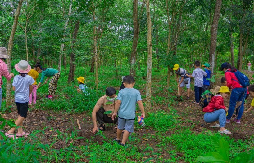 Một số giải pháp nhằm hạn chế phát thải khí mê-tan trong lâm nghiệp