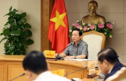 Cập nhật dự báo, chủ động phương án ứng phó trước, trong và sau bão