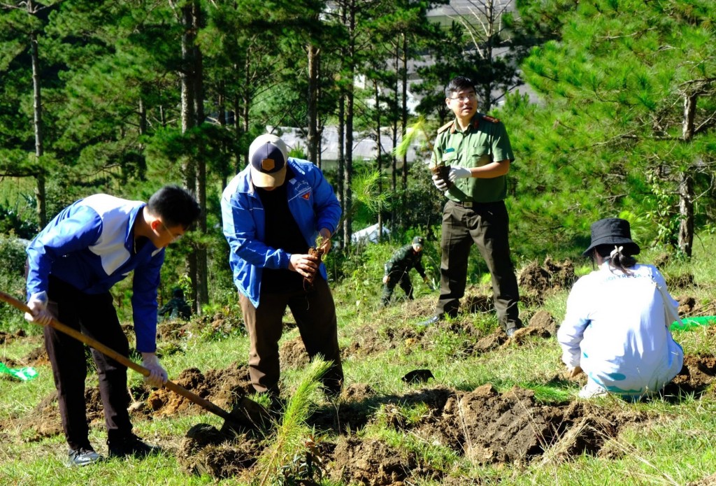 Trồng rừng để tăng cường thêm sức khỏe cho Một số giải pháp nhằm hạn chế phát thải khí mê-tan trong lâm nghiệp