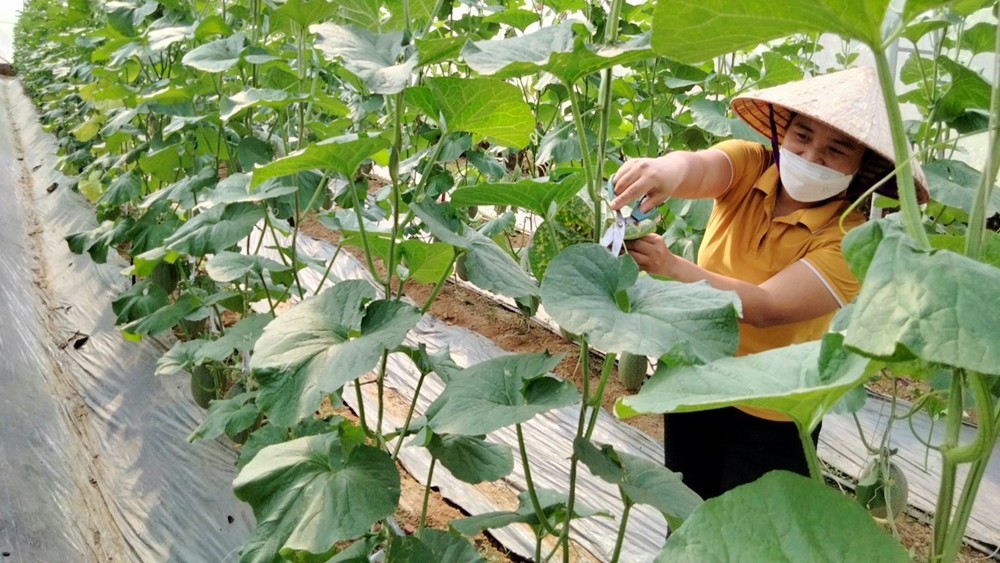 Đẩy mạnh chuyển đổi số, minh bạch nguồn gốc hướng tới nền nông nghiệp an toàn, bền vững