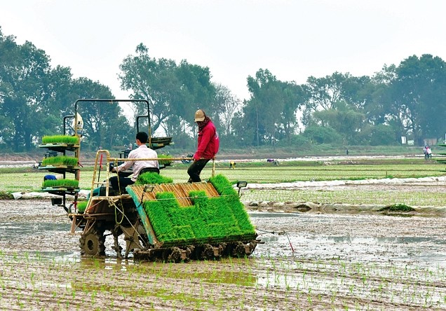 Việt Nam đặt mục tiêu giảm 30% lượng phát thải khí mê-tan vào năm 2030 so với mức năm 2020 (Ảnh: Thành Nam)