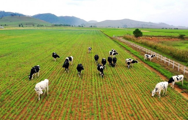 Chung tay giảm phát thải mê-tan vì tương lai xanh