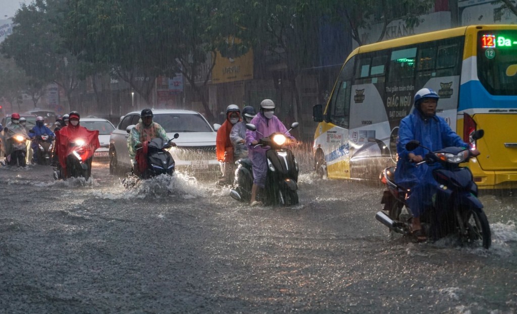 Ảnh minh hoạ Ảnh minh hoạ