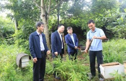 Phát huy giá trị văn hóa, củng cố khối đại đoàn kết toàn dân