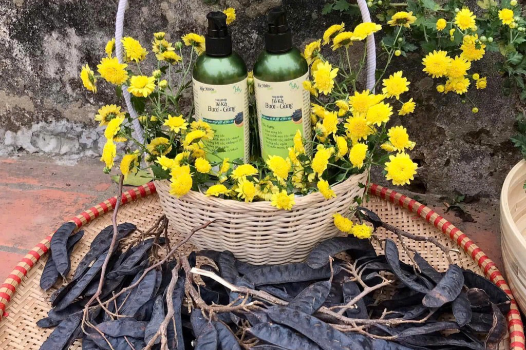 Sản phẩm dầu gội lên men 