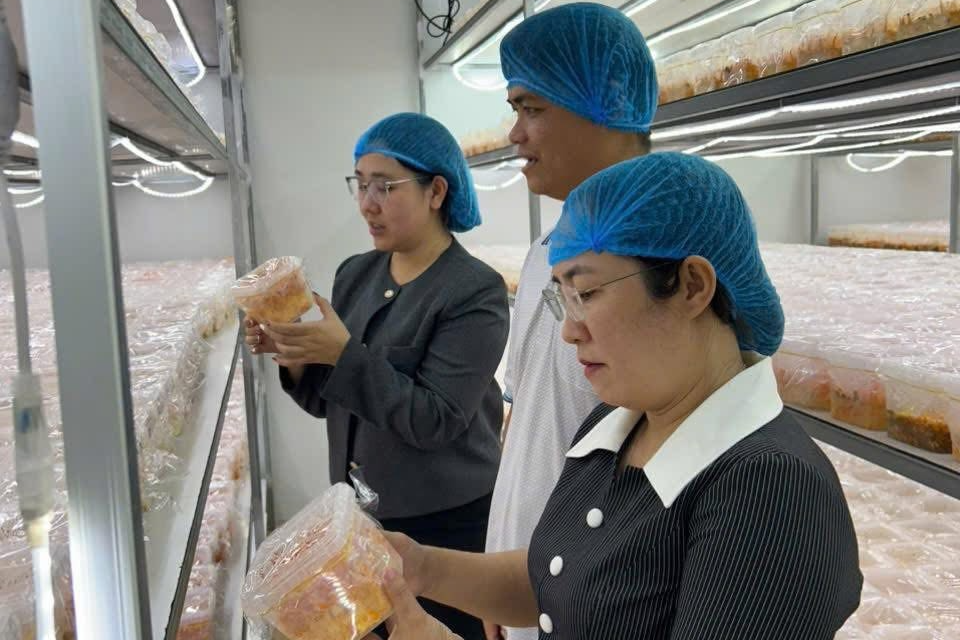 Đổi mới sáng tạo - dấu ấn người trẻ trong kỷ nguyên số