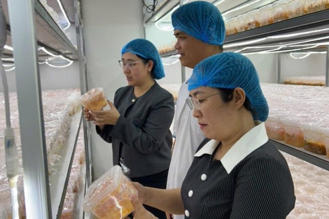 Đổi mới sáng tạo - dấu ấn người trẻ trong kỷ nguyên số