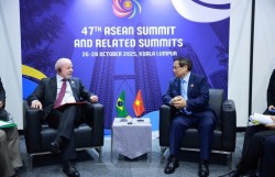 Tổng thống Brazil khẳng định đặc biệt coi trọng quan hệ với Việt Nam