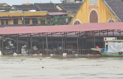 Đà Nẵng: Lũ trên sông Thu Bồn đã vượt báo động 3