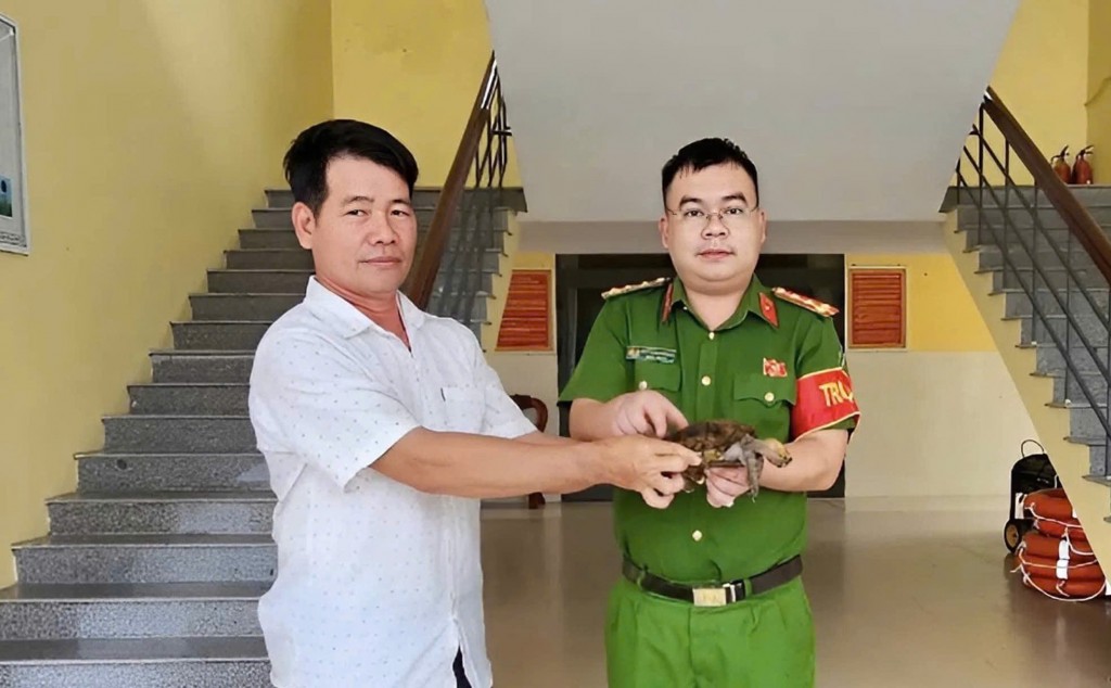 Ông Đỗ Đình Tư giao nộp cá thể rùa quý hiếm